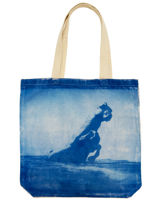 Trojan Horse tote bag